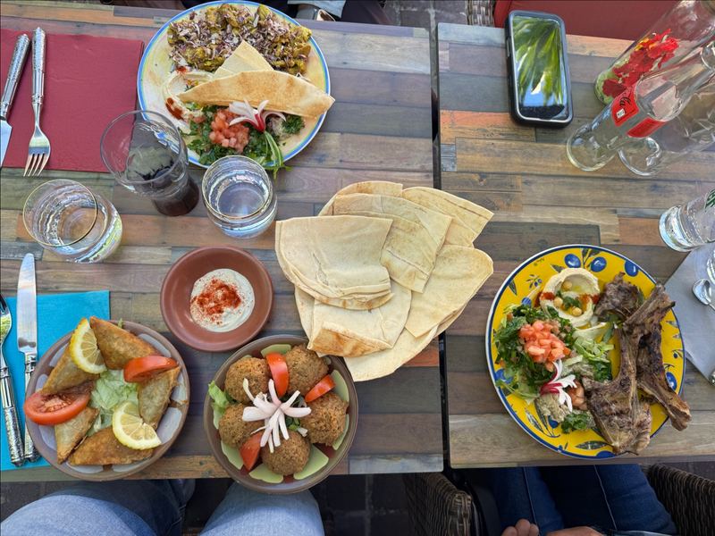Les Cèdres du Liban — Palavas-les-Flots