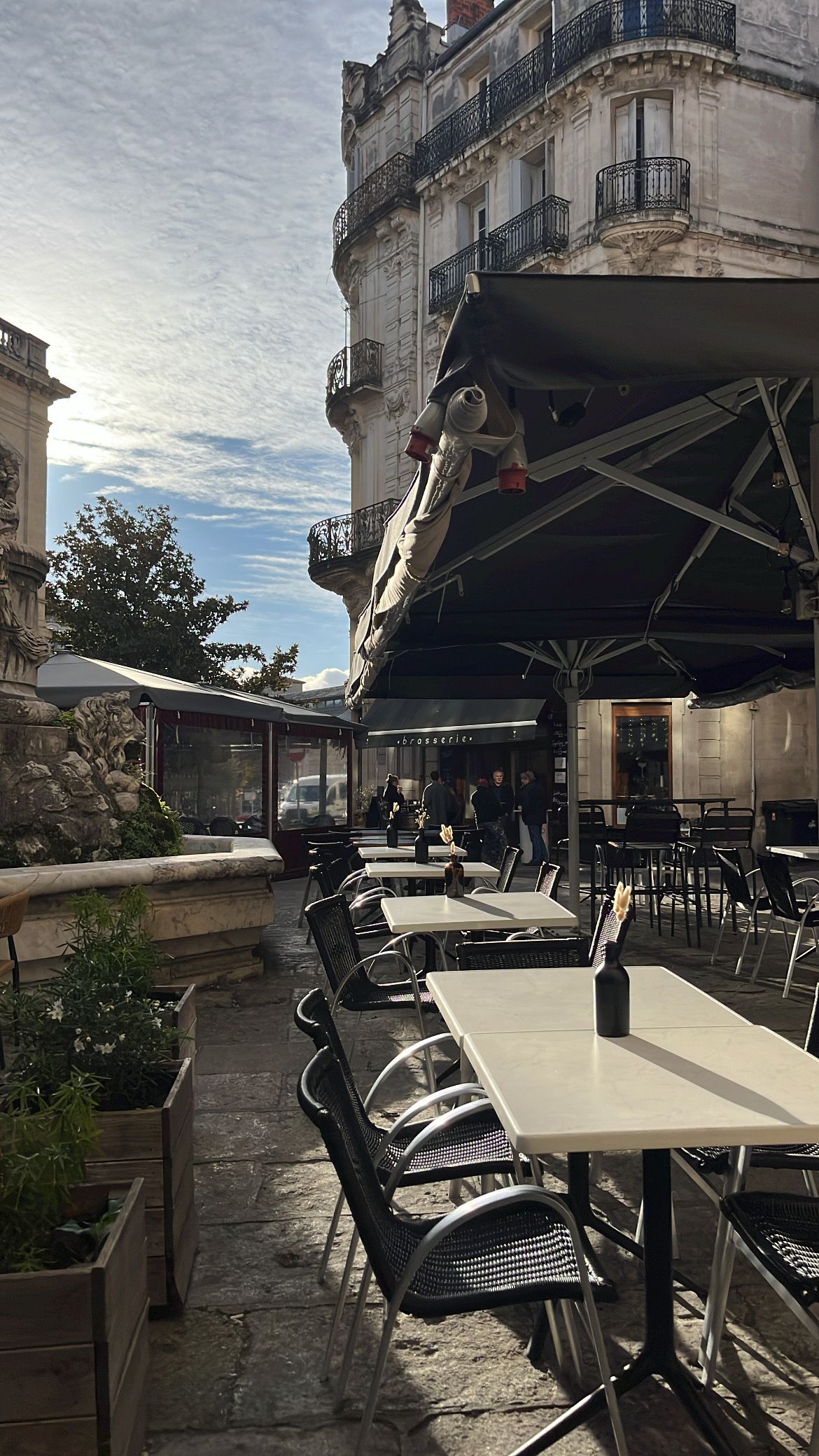 MAMY, Restaurant & Bar — Écusson