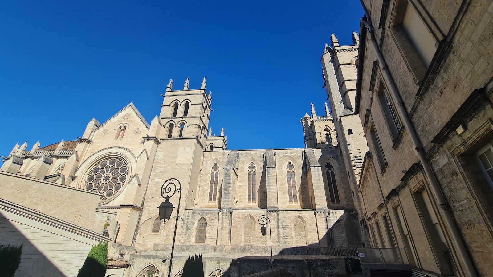 Musée Atger — Écusson