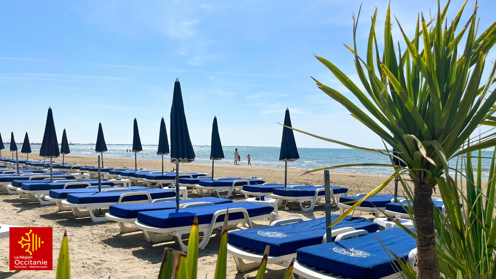 Plage La Rose des Vents — La Grande-Motte