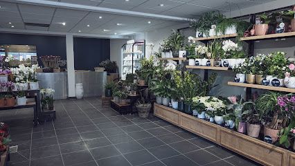 Monceau Fleurs — Castelnau-le-Lez