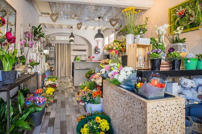 Oh! Fleurs — Castelnau-le-Lez